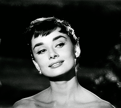 giphy (3).gif